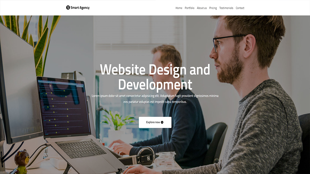 portfolio item thumb