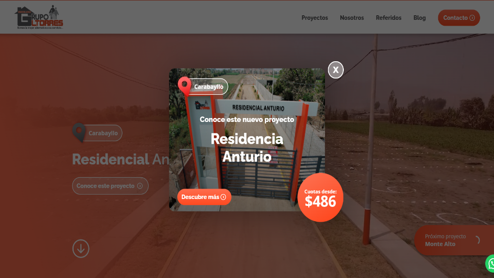 portfolio item thumb